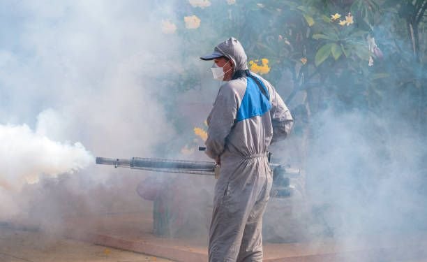 Mosquito Control Services in Jaipur by Shree Shyam Housekeeping Services