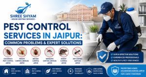 Pest Control Services in Jaipur