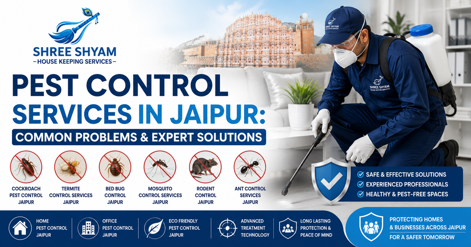 Pest Control Services in Jaipur